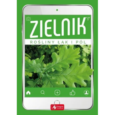 Zielnik Rośliny Łąk I Pól