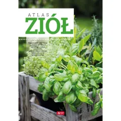 ATLAS ZIÓŁ - Dragon