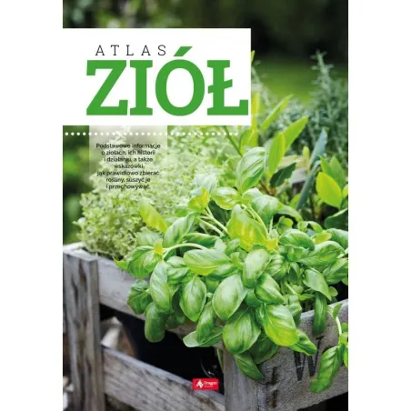 ATLAS ZIÓŁ - Dragon