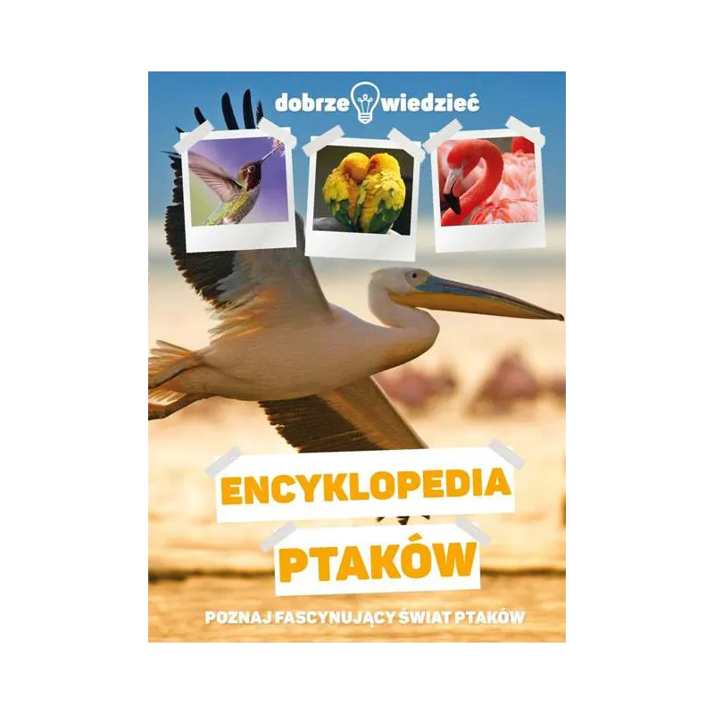 ENCYKLOPEDIA PTAKÓW. DOBRZE WIEDZIEĆ - Dragon ENCYKLOPEDIA PTAKÓW. DOBRZE WIEDZIEĆ - Dragon