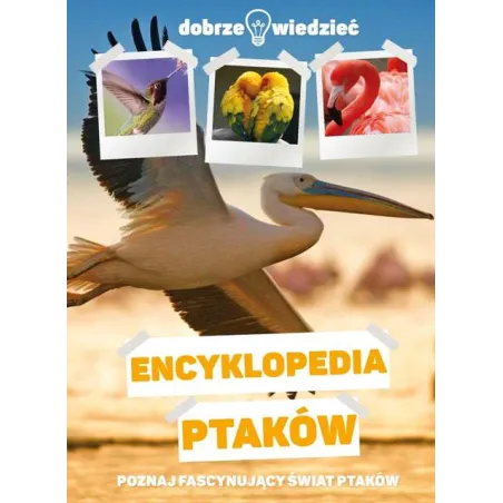 Encyklopedia Ptaków. Dobrze Wiedzieć Encyklopedia Ptaków. Dobrze Wiedzieć