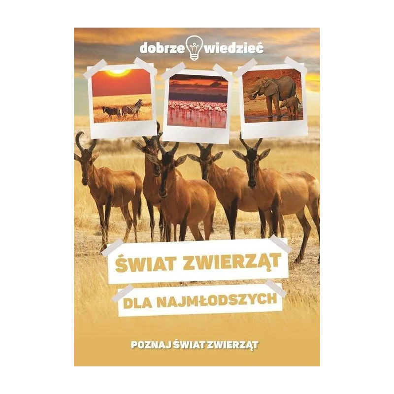 ŚWIAT ZWIERZĄT DLA NAJMŁODSZYCH. POZNAJ ZWIERZĘTA ŚWIATA - Dragon ŚWIAT ZWIERZĄT DLA NAJMŁODSZYCH. POZNAJ ZWIERZĘTA ŚWIATA - Dragon