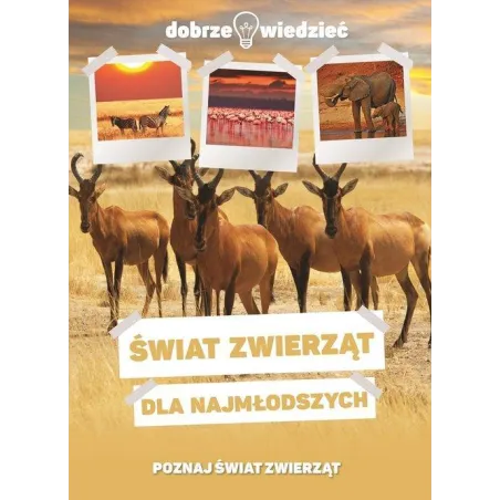 ŚWIAT ZWIERZĄT DLA NAJMŁODSZYCH. POZNAJ ZWIERZĘTA ŚWIATA - Dragon