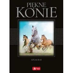 PIĘKNE KONIE - Dragon