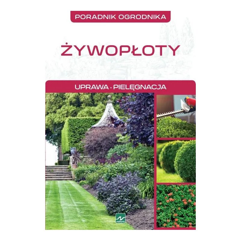 ŻYWOPŁOTY Michał Mazik - Dragon