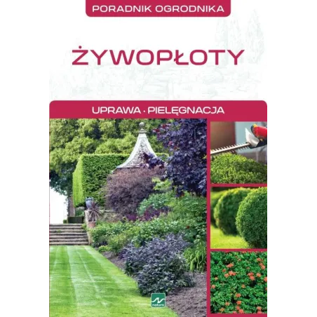 ŻYWOPŁOTY Michał Mazik - Dragon