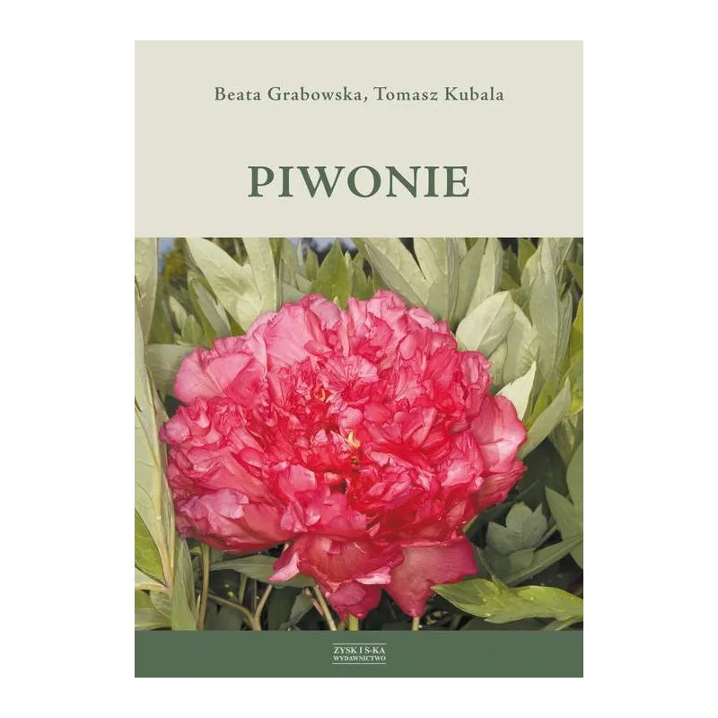 PIWONIE - Zysk PIWONIE - Zysk
