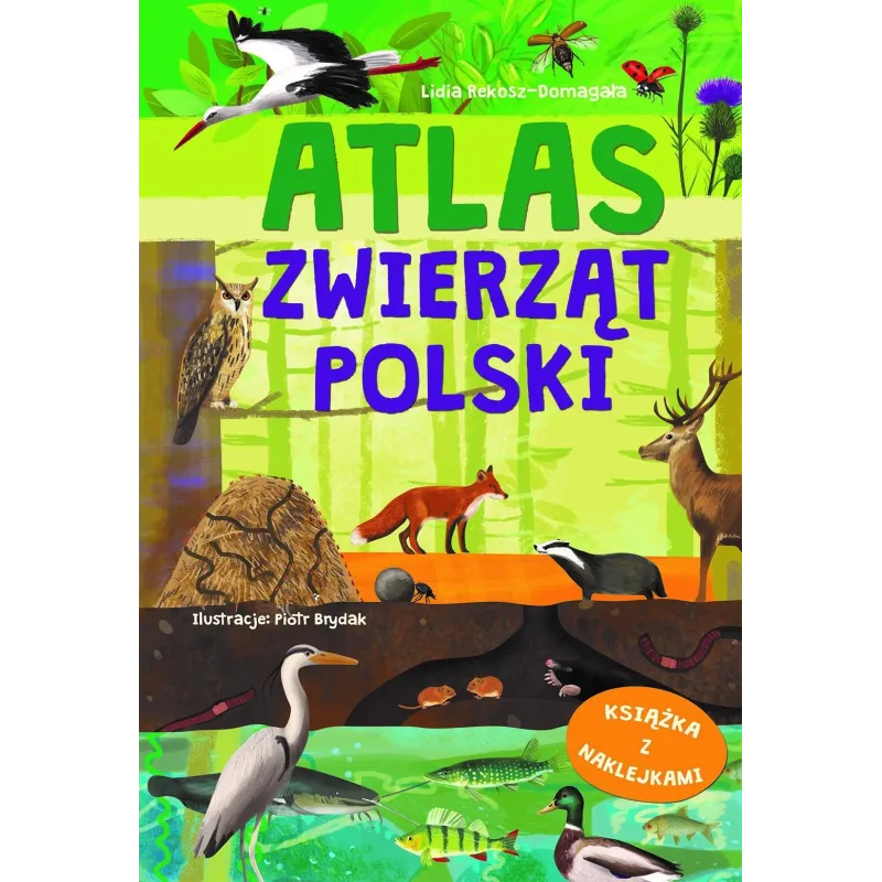 ATLAS ZWIERZĄT POLSKI KSIĄŻKA Z NAKLEJKAMI Lidia Rekosz-Domagała - Olesiejuk