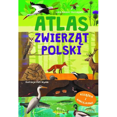 Atlas Zwierząt Polski. Książka Z Naklejkami