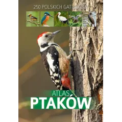 ATLAS PTAKÓW - SBM