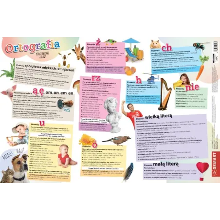 Edukacyjna Podkładka Na Biurko Ortografia Podstawowe Zasady 55 X 36.7 Cm