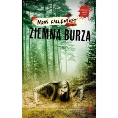 ZIEMNA BURZA - Rebis