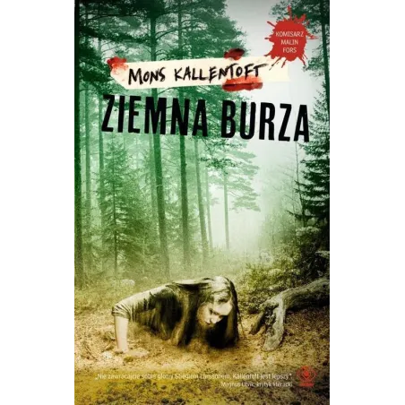 ZIEMNA BURZA - Rebis
