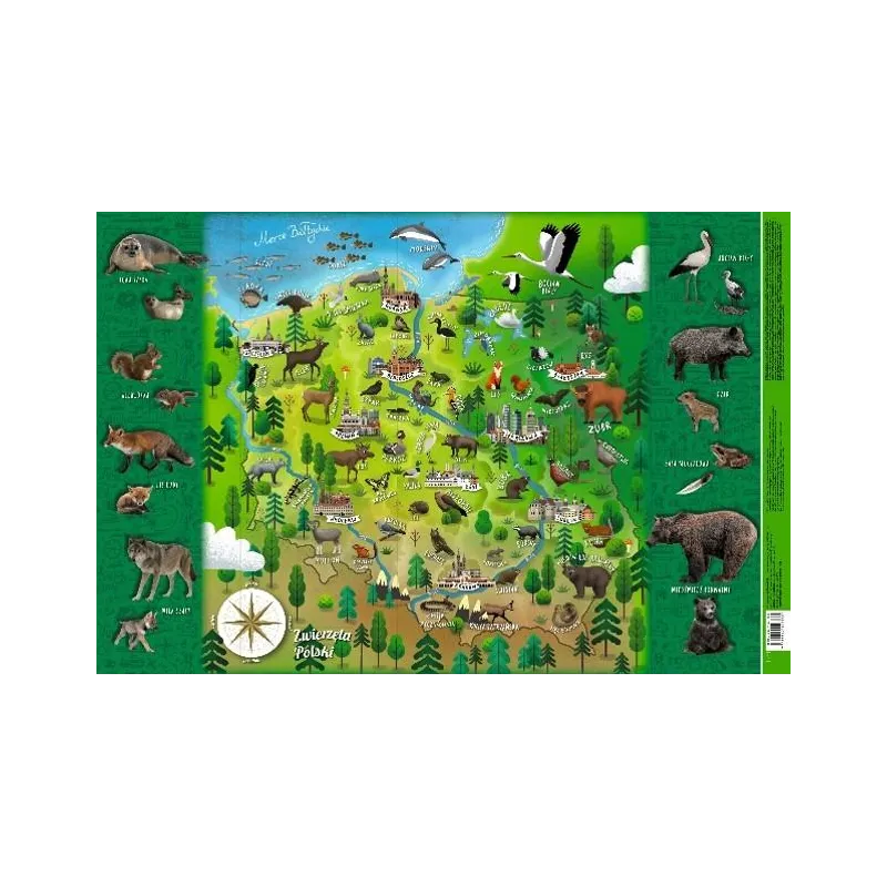 MAPA POLSKI - ZWIERZĄTKA. MAPPUZZLE JUNIOR. PODKŁNA BIURKOADKA