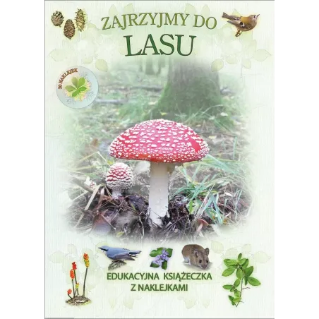 Zajrzyjmy Do Lasu. Książeczka Edukacyjna Z Naklejkami