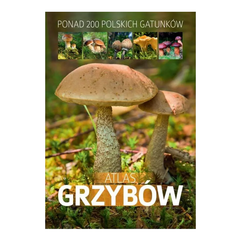 ATLAS GRZYBÓW 200 GATUNKÓW - SBM