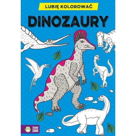 LUBIĘ KOLOROWAĆ DINOZAURY - Zielona Sowa