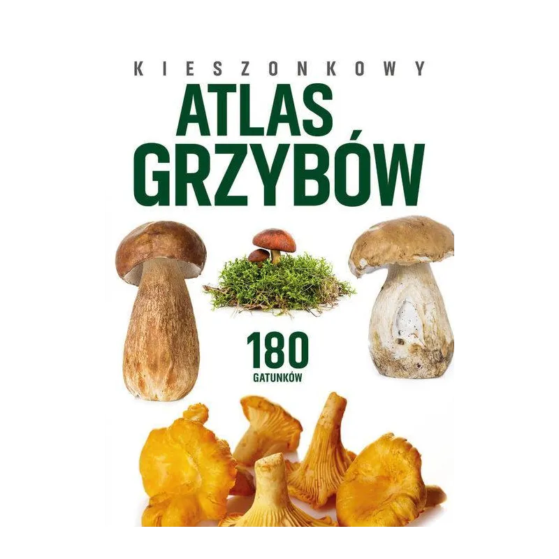 KIESZONKOWY ATLAS GRZYBÓW. 180 GATUNKÓW
