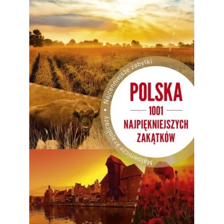 POLSKA 1001 NAJPIĘKNIEJSZYCH ZAKĄTKÓW - SBM