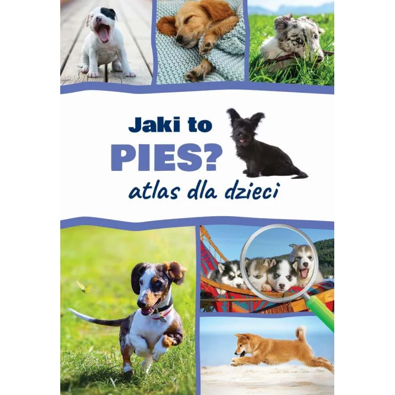 JAKI TO PIES? ATLAS DLA DZIECI - SBM