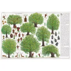 Drzewa 6+  Wojciech Grajkowski