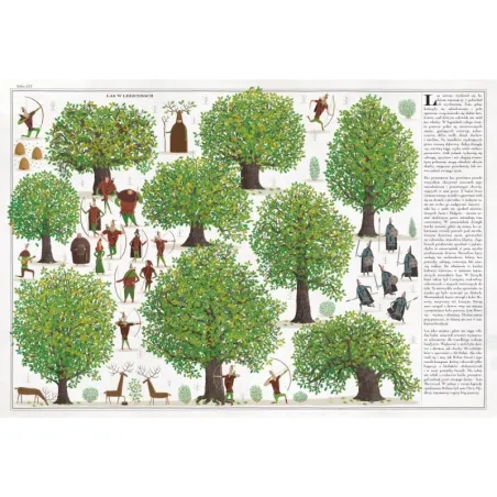 Drzewa 6+  Wojciech Grajkowski