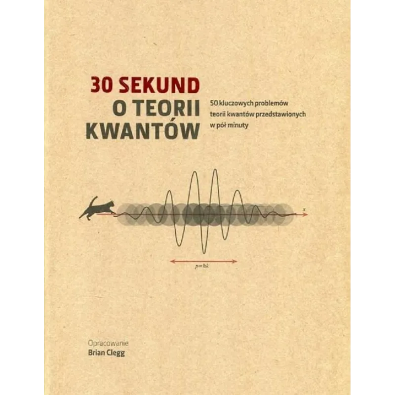 30 SEKUND O TEORII KWANTÓW - Olesiejuk