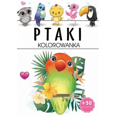 Ptaki. Kolorowanka Z Naklejkami