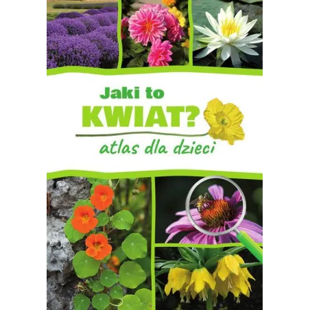 Jaki To Kwiat? Atlas Dla Dzieci
