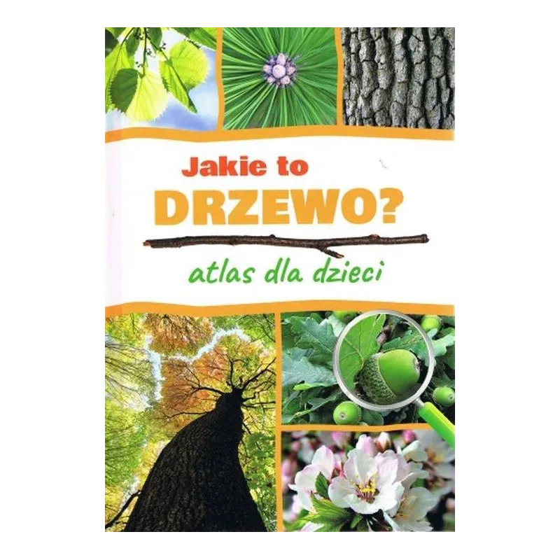 JAKIE TO DRZEWO ? ATLAS DLA DZIECI Aleksandra Halarewicz - SBM