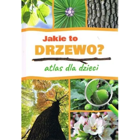 JAKIE TO DRZEWO ? ATLAS DLA DZIECI Aleksandra Halarewicz - SBM