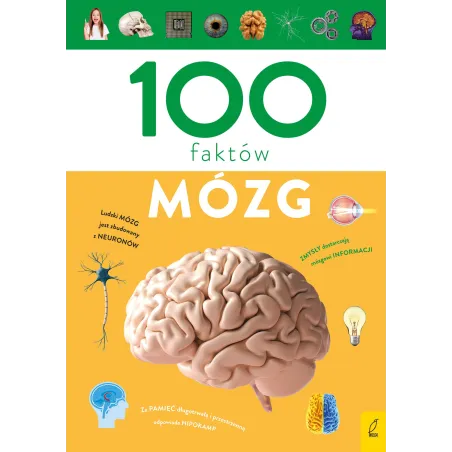 Mózg. 100 Faktów