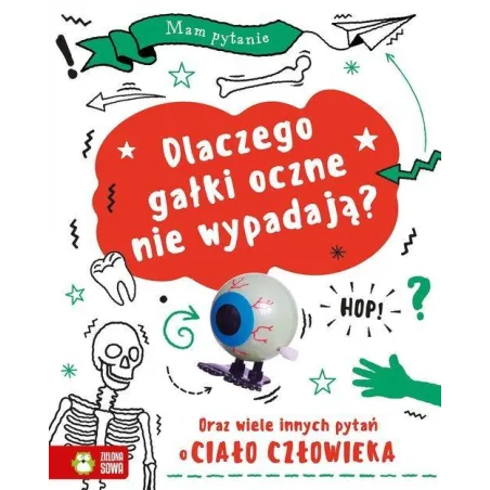 Dlaczego Gałki Oczne Nie Wypadają? Oraz Wiele Pytań O Ciało Człowieka