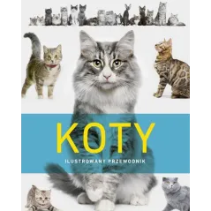KOTY. ILUSTROWANY PRZEWODNIK