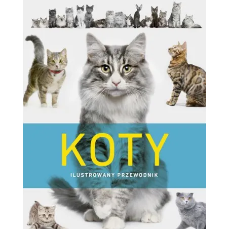 KOTY. ILUSTROWANY PRZEWODNIK