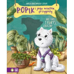 Aniela Cholewińska-Szkolik