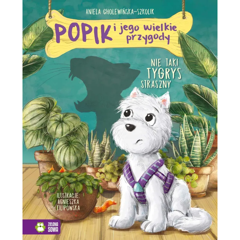 Aniela Cholewińska-Szkolik