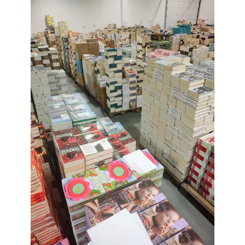 KSIĄŻKI NA WAGĘ LITERATURA BELETRYSTYKA MIX KOŃCÓWKI NAKŁADÓW 1 KG OUTLET