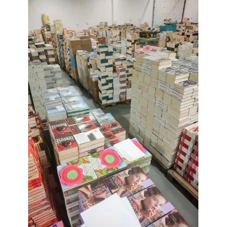 KSIĄŻKI NA WAGĘ LITERATURA BELETRYSTYKA MIX KOŃCÓWKI NAKŁADÓW 1 KG OUTLET