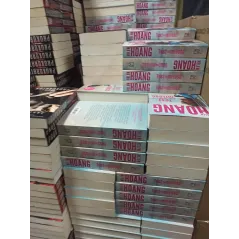 KSIĄŻKI NA WAGĘ LITERATURA BELETRYSTYKA MIX KOŃCÓWKI NAKŁADÓW 1 KG OUTLET