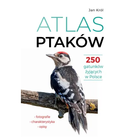 Atlas Ptaków. 250 Gatunków Żyjących W Polsce