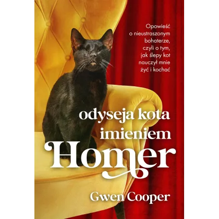 Odyseja Kota Imieniem Homer