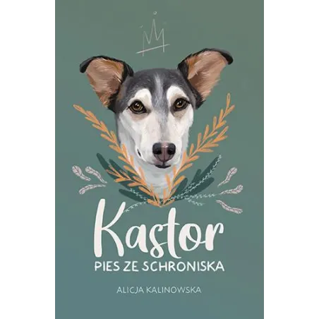 Kastor. Pies Ze Schroniska