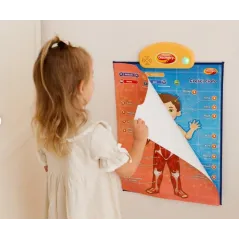 Interaktywne Edukacyjne Plakaty Anatomia Człowieka 4 Szt Dumel Discovery 5+ Ii Gatunek