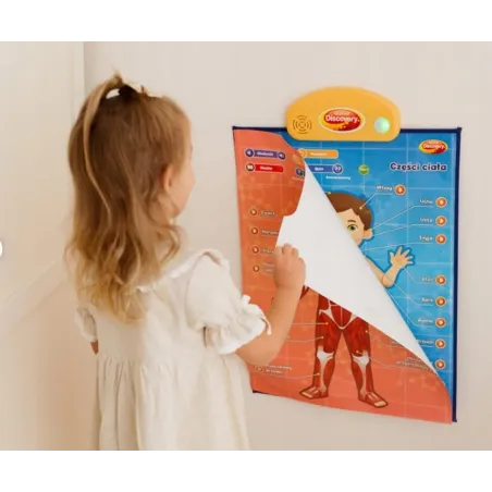 Interaktywne Edukacyjne Plakaty Anatomia Człowieka 4 Szt Dumel Discovery 5+ Ii Gatunek