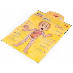 INTERAKTYWNE EDUKACYJNE PLAKATY ANATOMIA CZŁOWIEKA 4 SZT DUMEL DISCOVERY 5+ II GATUNEK