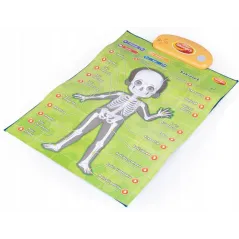 INTERAKTYWNE EDUKACYJNE PLAKATY ANATOMIA CZŁOWIEKA 4 SZT DUMEL DISCOVERY 5+ II GATUNEK