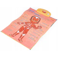 INTERAKTYWNE EDUKACYJNE PLAKATY ANATOMIA CZŁOWIEKA 4 SZT DUMEL DISCOVERY 5+ II GATUNEK