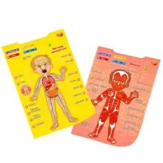 INTERAKTYWNE EDUKACYJNE PLAKATY ANATOMIA CZŁOWIEKA 4 SZT DUMEL DISCOVERY 5+ II GATUNEK