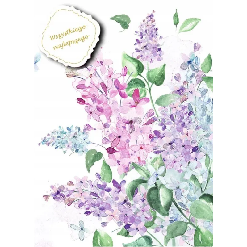 KARNET OKOLICZNOŚCIOWY WSZYSTKIEGO NAJLEPSZEGO Z DOWIESZKĄ BEZ NAPISU B6